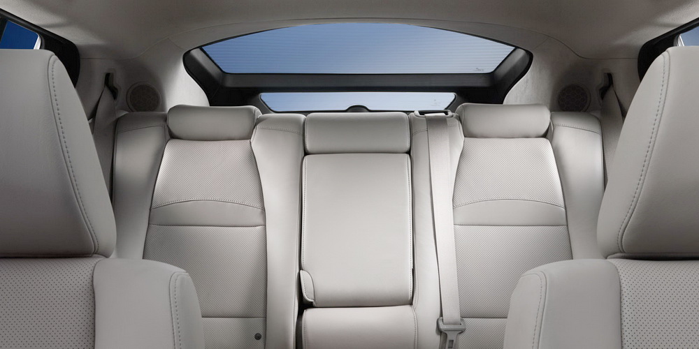 Seat Back